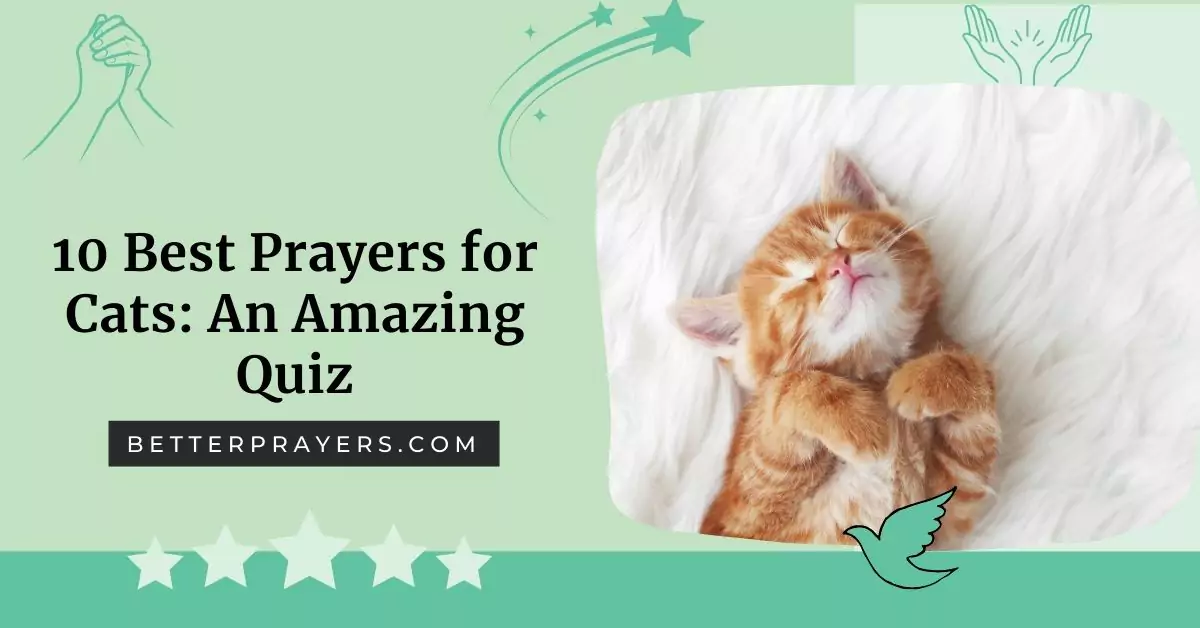 10 Best Prayers for Cats - BetterPrayers